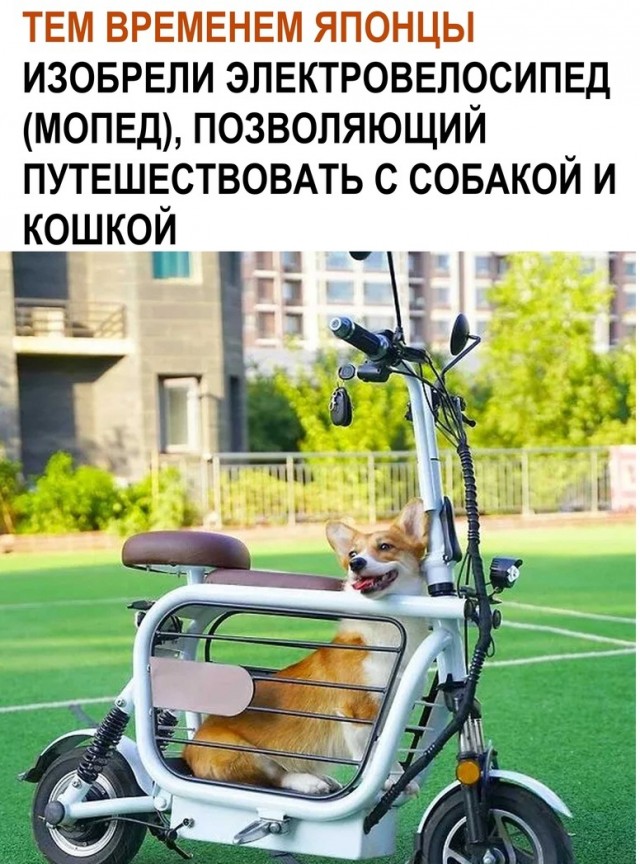 Чуток картинок 26.07.22