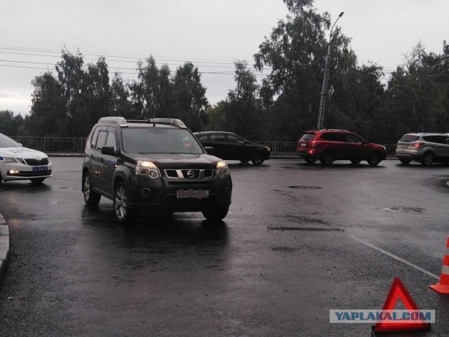 На днях в Карелии временно стало на одного целого пешехода меньше