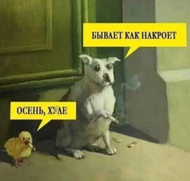 20 баянов про всякое