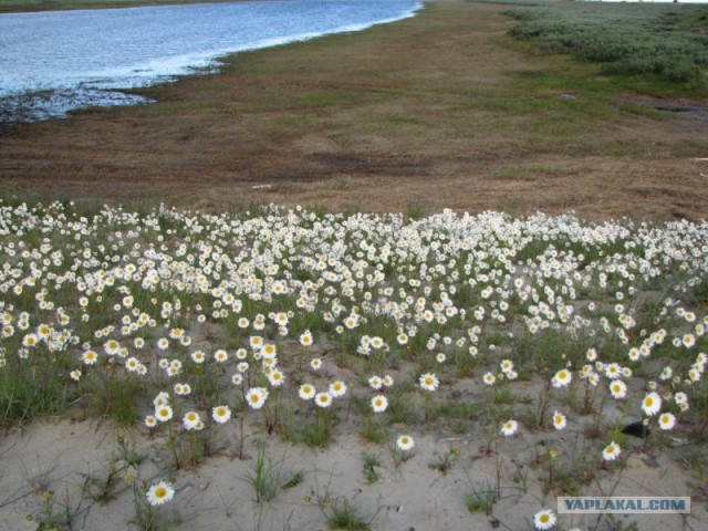 Ямал. Два времени года