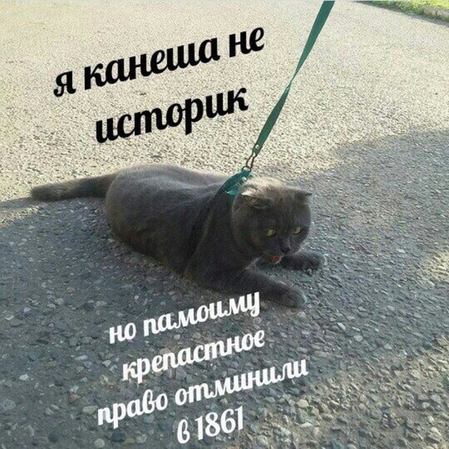 Поржать немного с утра!
