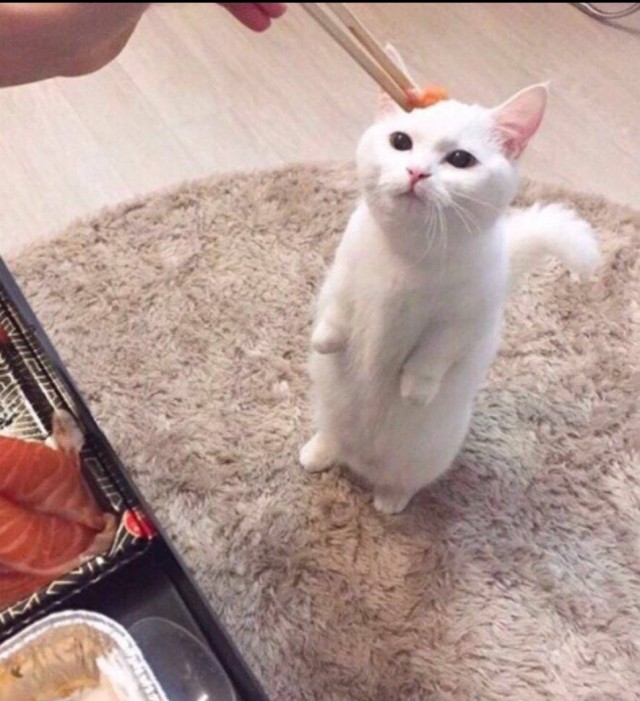 Здравствуйте!