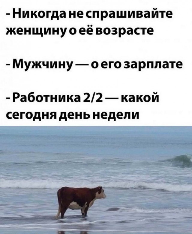 Картинки и мемы, всем хороших выходных