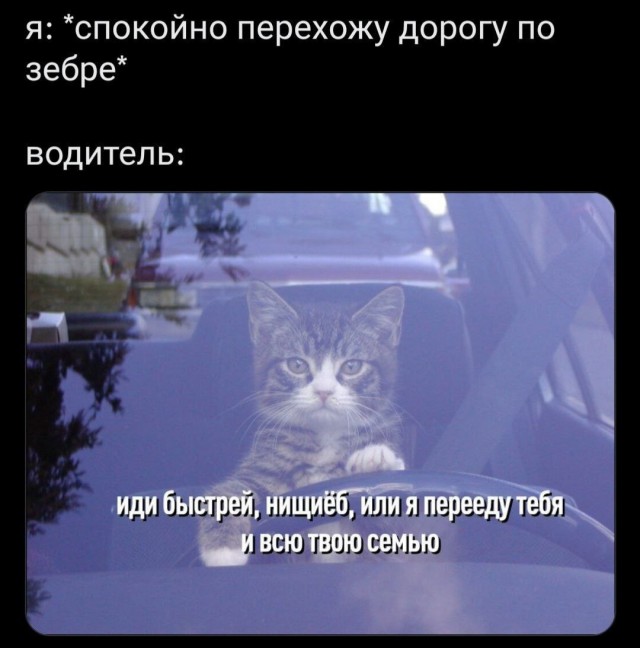 Всего понемногу. Выпуск от 13.03.