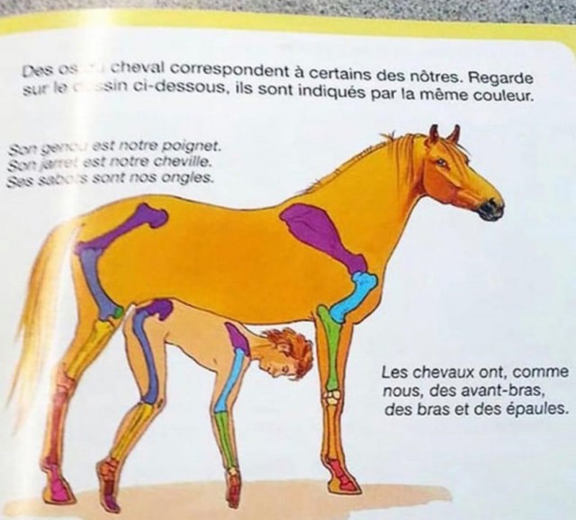 А что вы покупали по пьяни?