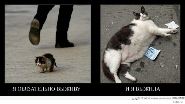 Демократия в опасности!