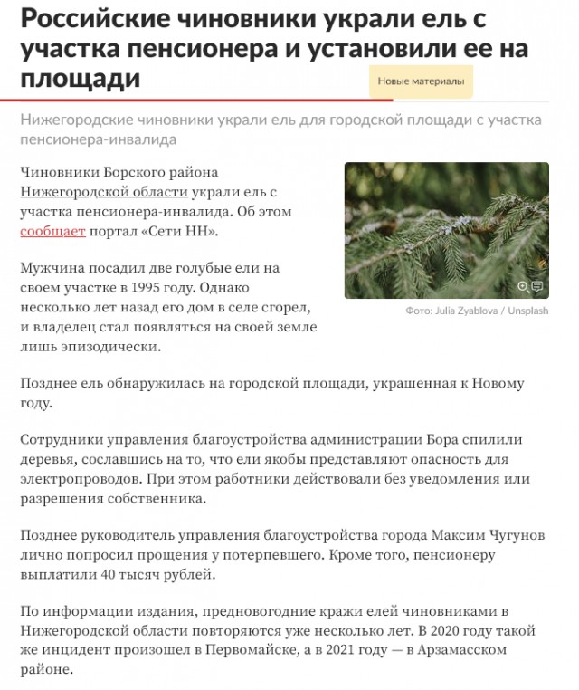 На Урале чиновники срубили ёлку на садовом участке местной жительницы, чтобы установить дерево на главной площади города Миньяр