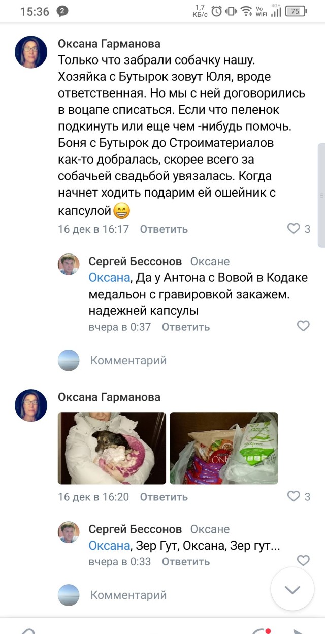 Собакочетверг или как я стал приемным папой
