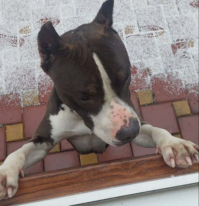 Сборник рассказов ЯПовских авторов. Обсуждение проблемы.