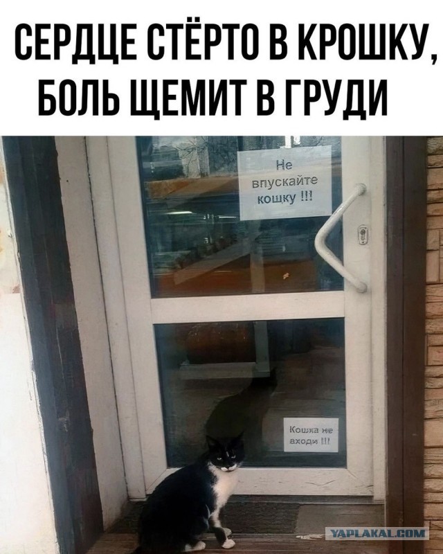 Так себе картинки 04.05.24