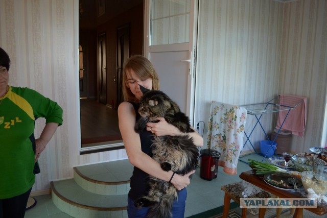 Котовторник 21.05.2013