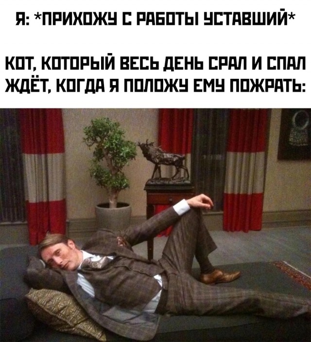 Весёлый полтишок 04.10.2024
