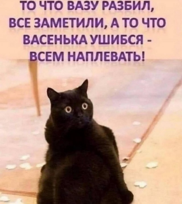 Веселые картинки после длинных выходных (09.01)