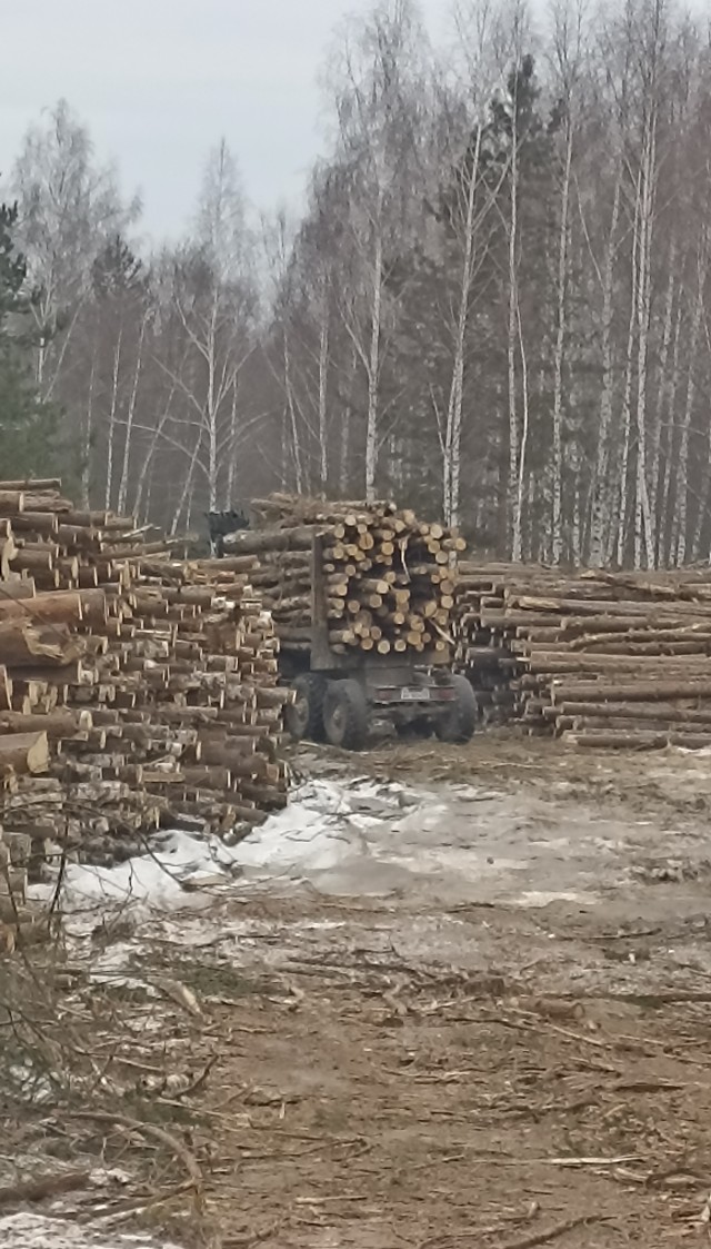 А вы кем работаете?