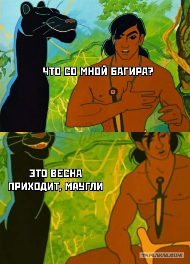 Это любовь