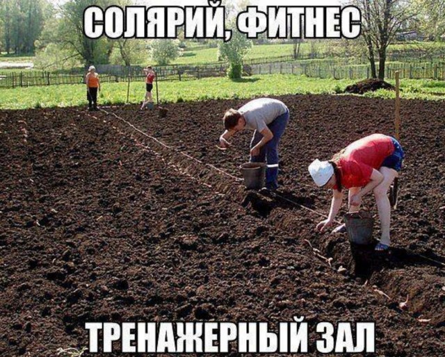 Завалялось тут случайно немного забавных картинок