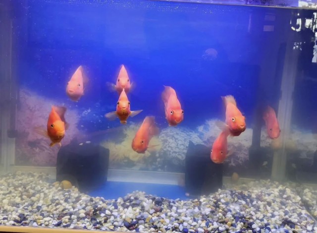 Семейный портрет