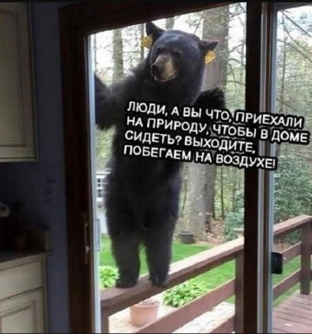 Жалуются на бояны местные.