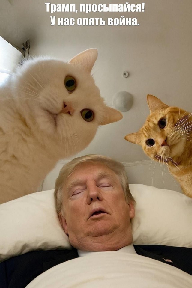 На границе между Таиландом и Камбоджей произошло вооруженное столкновение