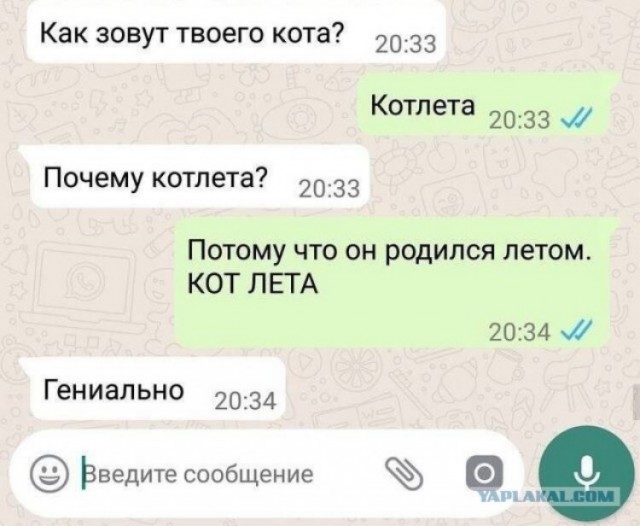 УВБ-76 передала