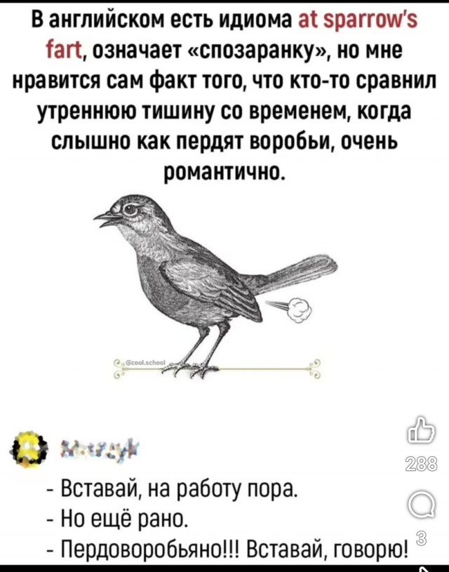 Картинки для деградации 39 (разной степени свежести)
