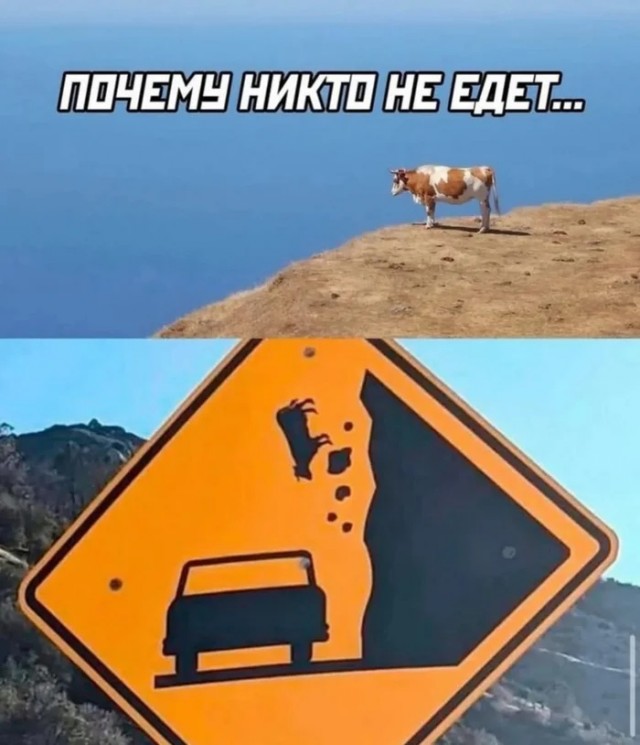 Веселые картинки в понедельник (22.09)
