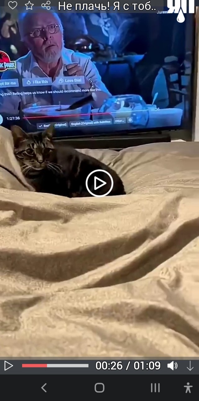 Не плачь! Я с тобой!