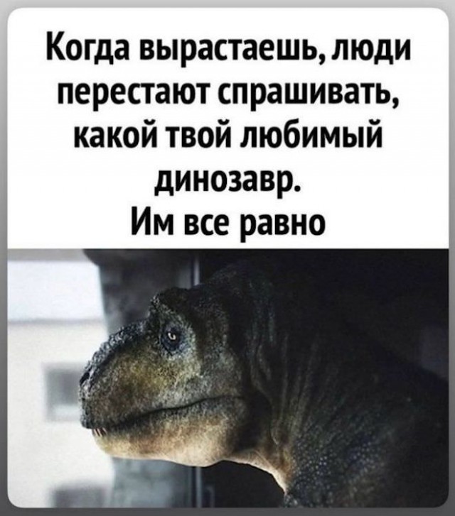 Картиночки, баянчики 12 декабря