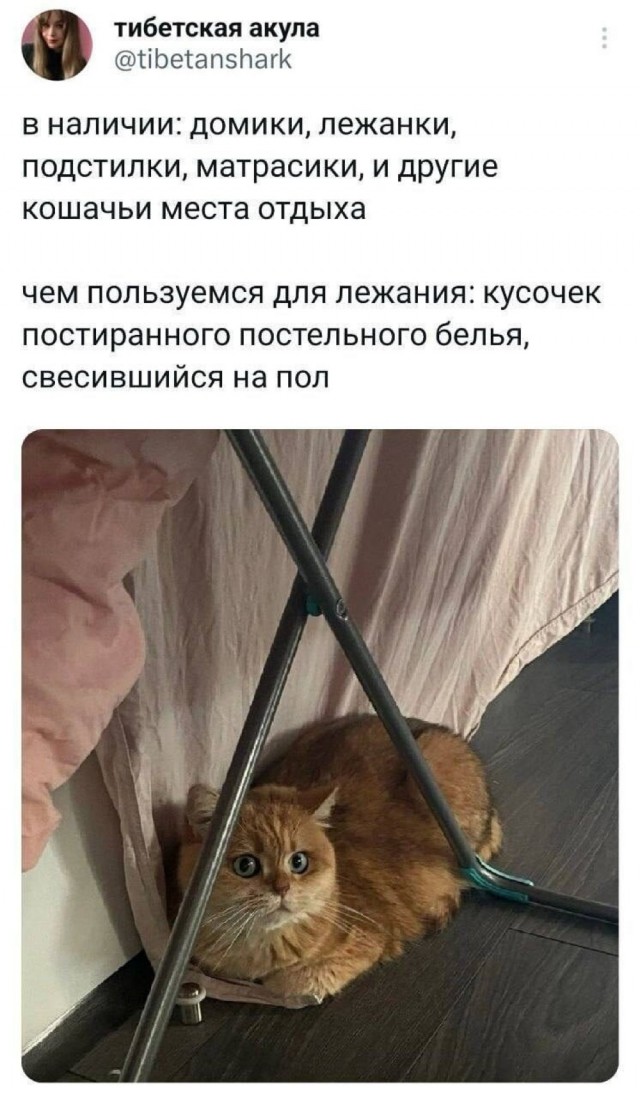 Вторника картинки