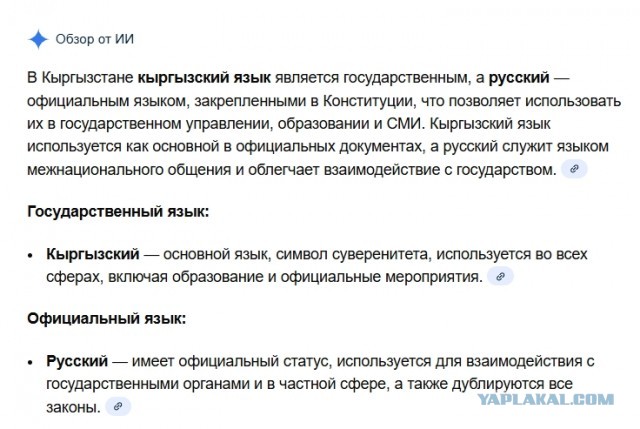 В Киргизии чиновник отчитал бизнесмена за то, что он говорит с ним на русском языке