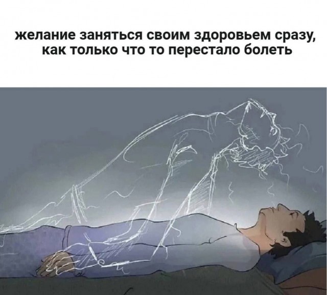 Хозяин, там твой друг пришёл!