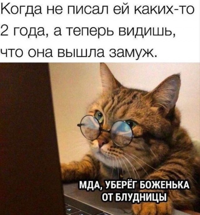 Так себе картинки 21.01.26
