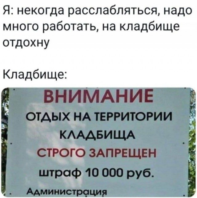 Веселые картинки в пятницу (20.03)