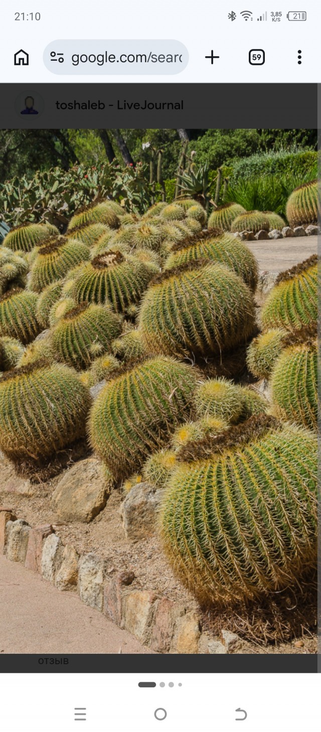 Поздравляю всех причастных с праздником!