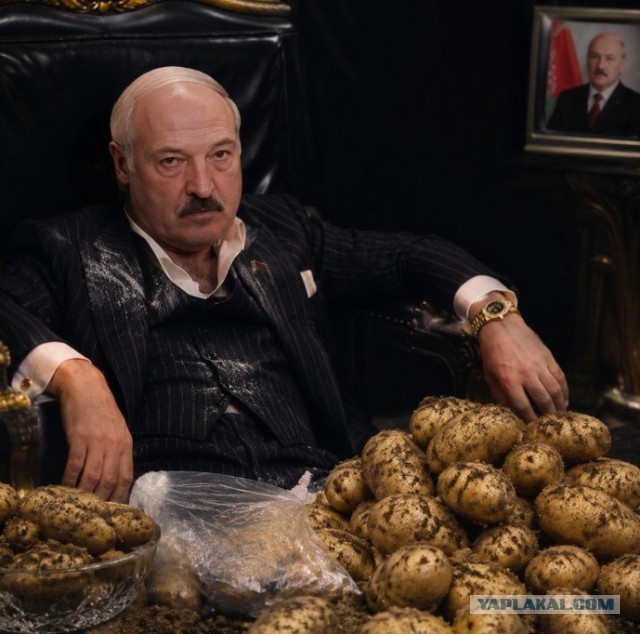 Жены стареют, первокурсницы никогда