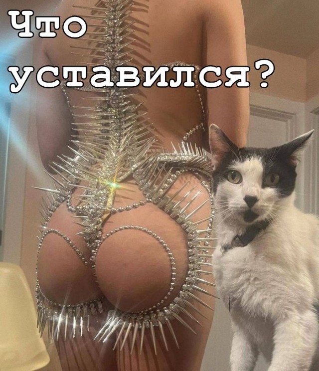 Забавные и не очень скромные картинки-39