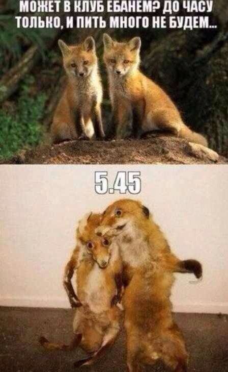 Может в клуб ебанем?