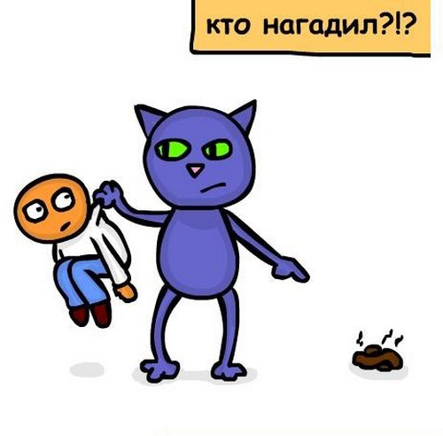 О чем мечтает кот?