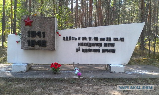 Практическая стрельба (IPSC, МКПС)