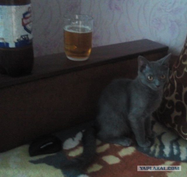 Всех с пятницой