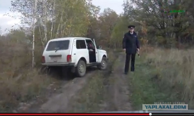 Неожиданно в лесу...