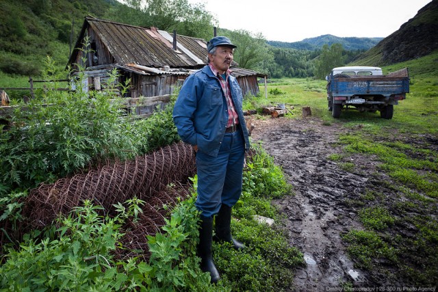 Дорога к пчелам за 4 млрд рублей