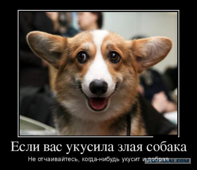 Смешные картинки, приколы, комментарии и прочее...