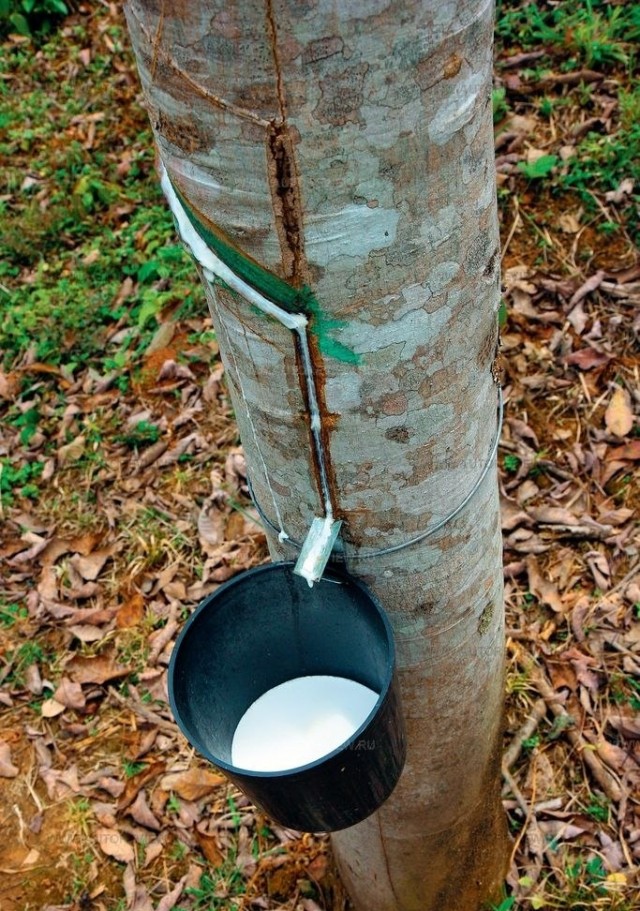 А вы знаете, как делают ЭТО…?