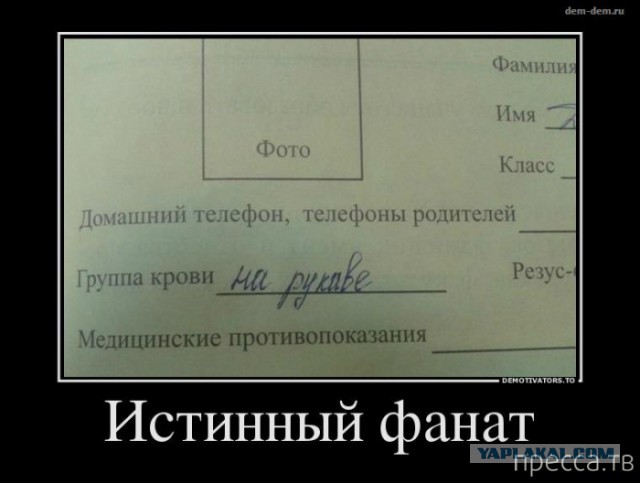 Картинки из инета
