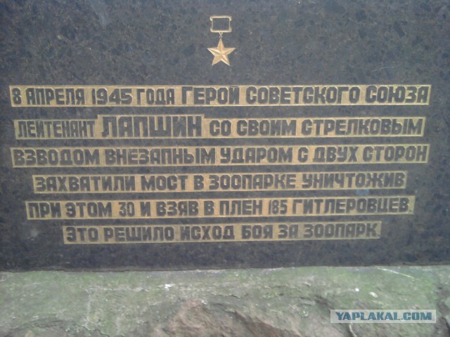 Незабываемый Калининград