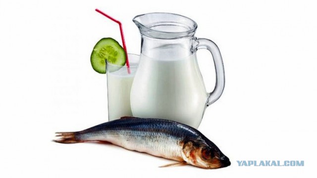 Рестораны, откуда уходят голодными.