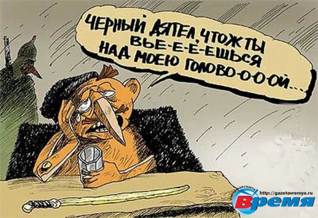 Шойгу объясняет откуда деньги на дачу на рублевке
