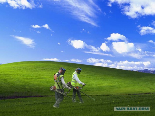 Дорисовываем картины