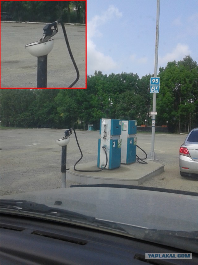 Подборка забавных картинок